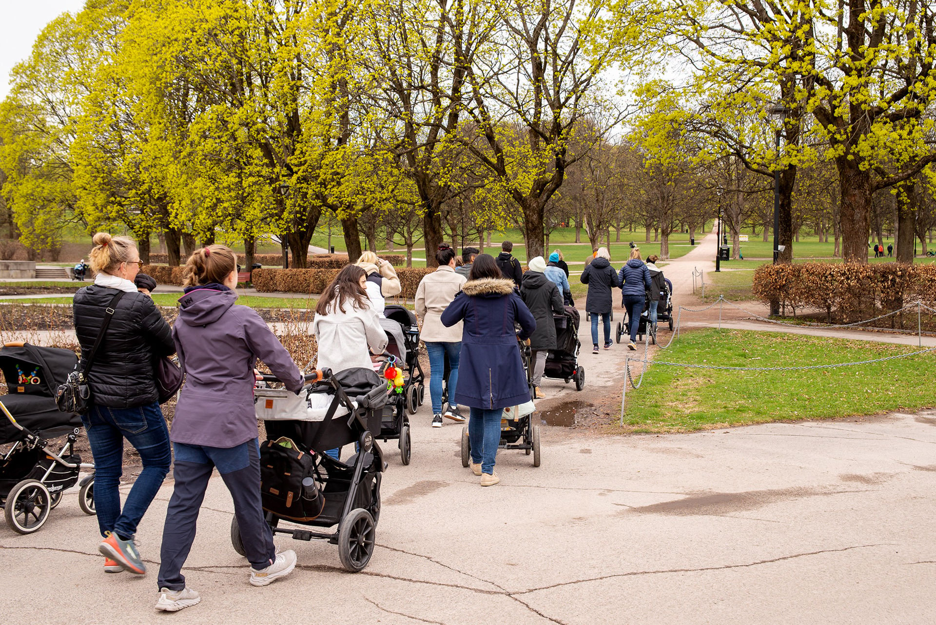 Mange mennesker med barnevogn på vei gjennom den grønne parken.