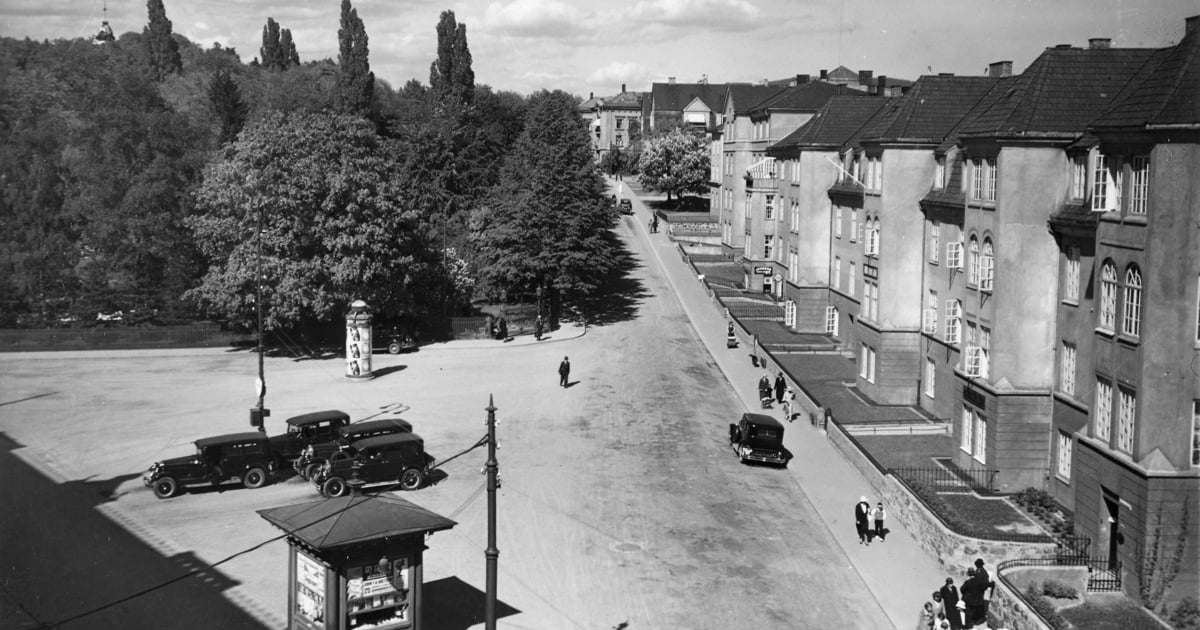 sort-hvitt av park med bygårder på en linje til høyre