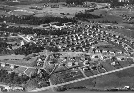 Flyfoto av en haveby med mange hus