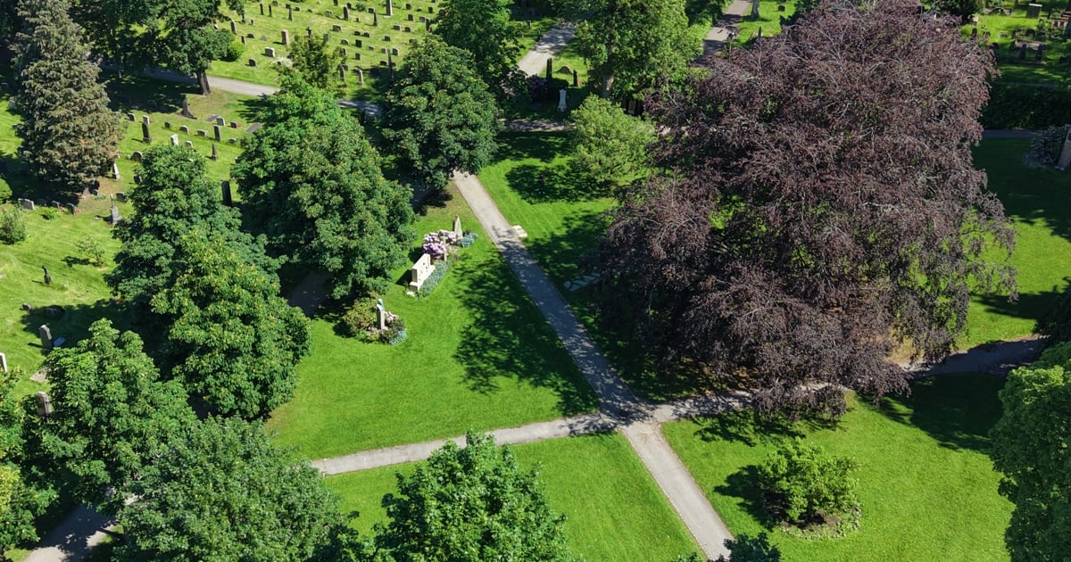 flyfoto over gravplasser