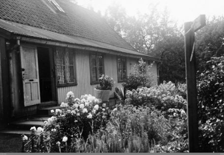 trehus med frodig hage