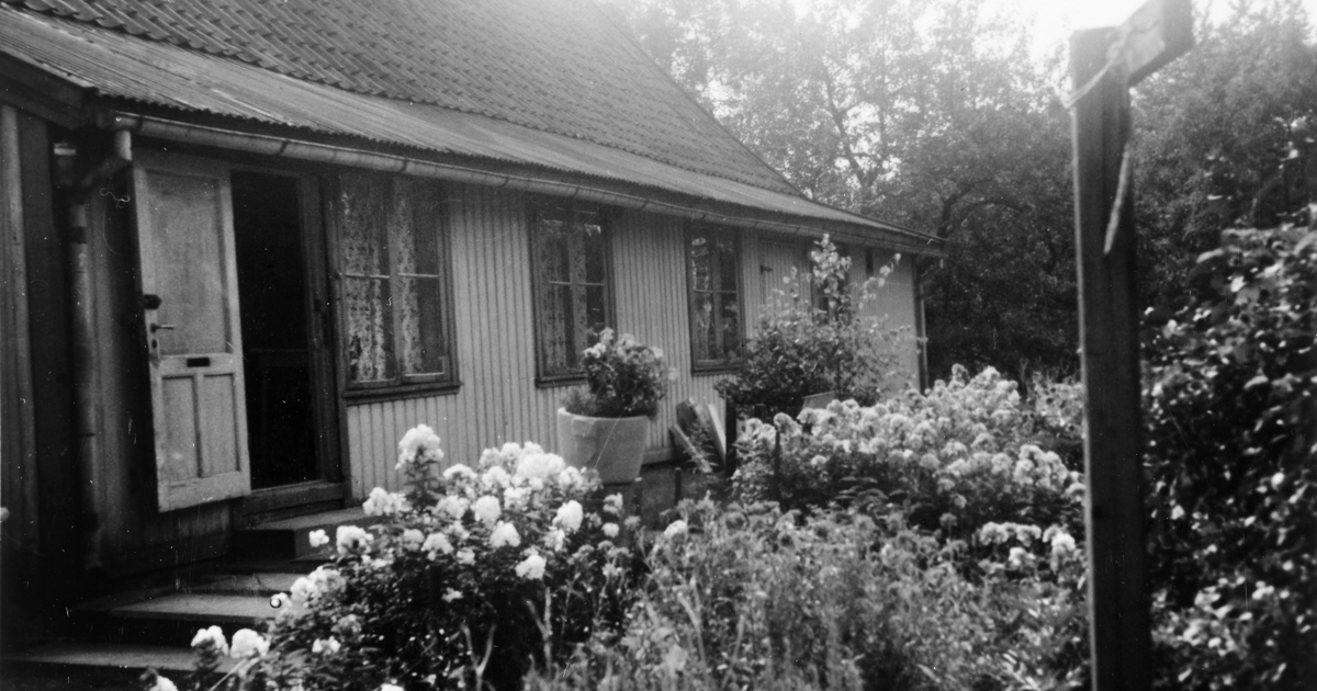 trehus med frodig hage