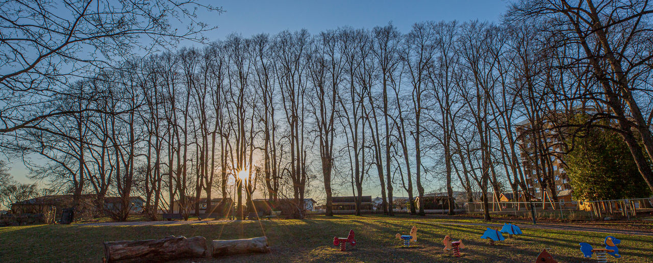 Solnedgang gjennom en lang rekke med trær. Fargerike lekeapparater for barn i forgrunnen.