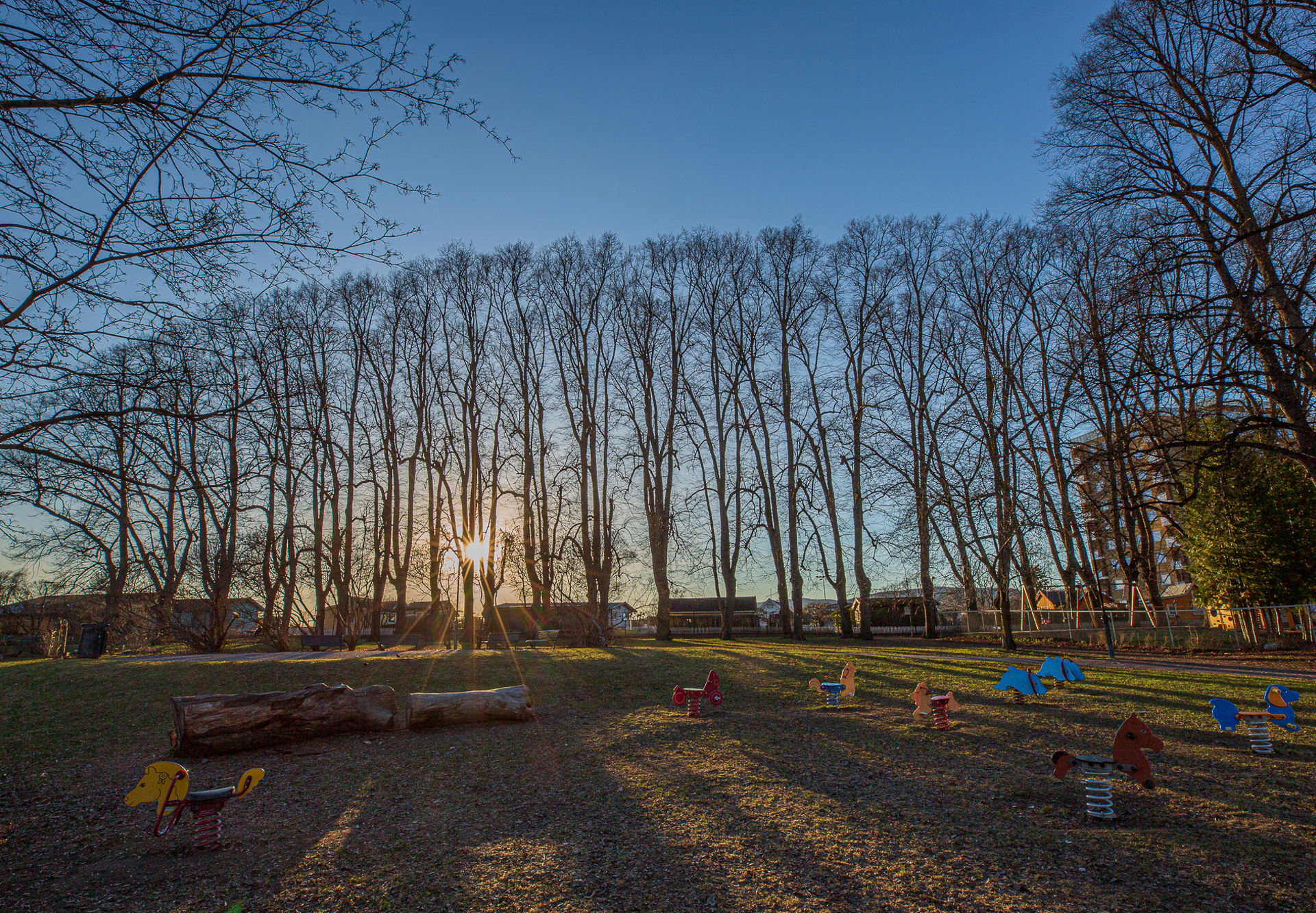 Solnedgang gjennom en lang rekke med trær. Fargerike lekeapparater for barn i forgrunnen.